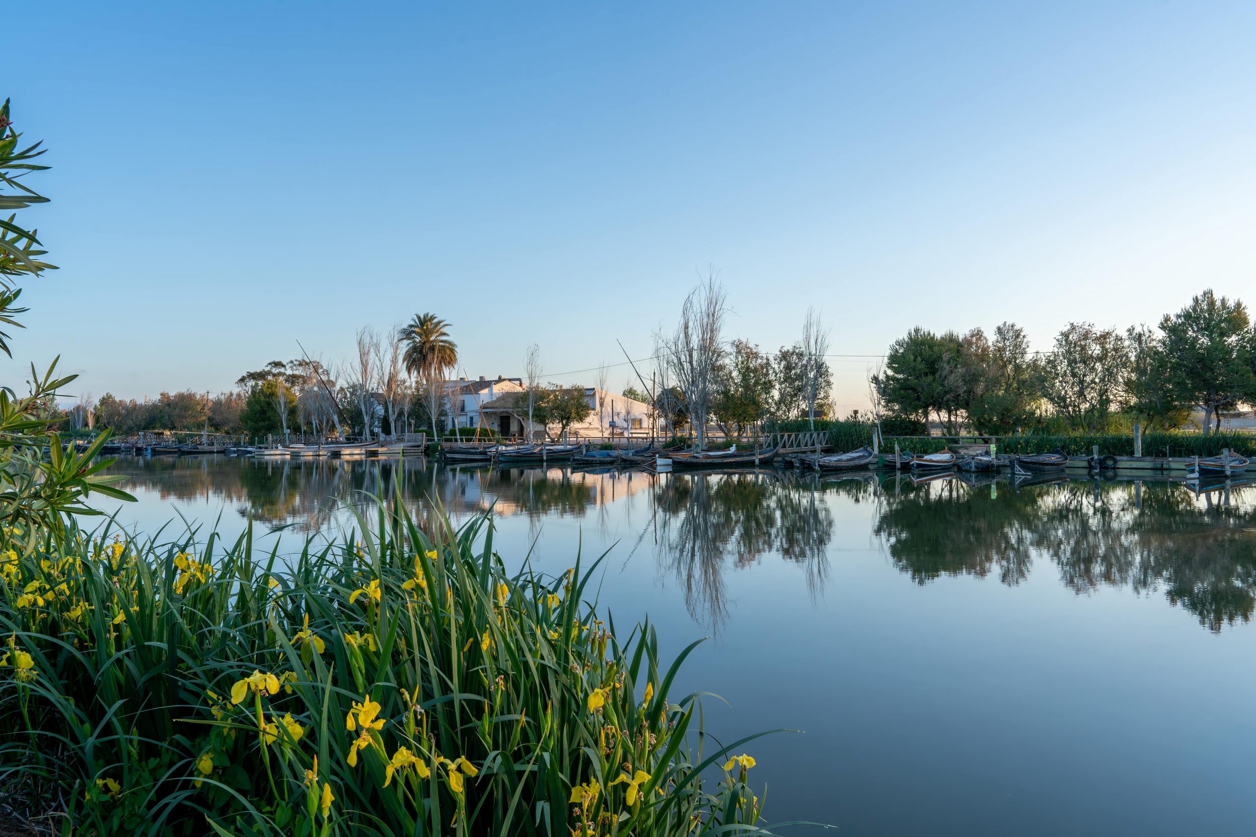 Contratar empresa de paisajismo en Valencia